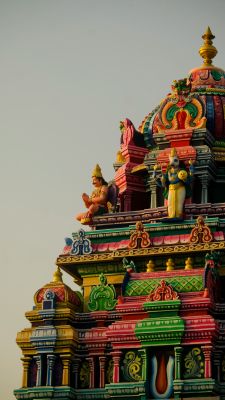 Category Image